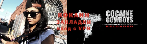 молекула духа Козельск